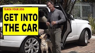 Teach Your Dog to Get into the CAR  Dog Training Video