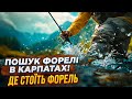 💪ПОШУК ФОРЕЛІ В КАРПАТАХ 2025! Де вона СТОЇТЬ. Яку снасть взяти