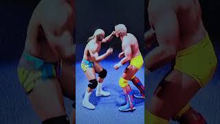 Stunning Steve Austin win First Fall Dustin Rhodes counted out WWE 2K24