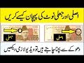 Asli aur Nakli Note ki Pehchan Kesy Karen |  Difference Between Real and Fake Currency Notes