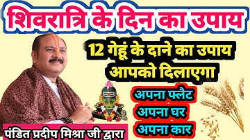12 गेहूं के दाने का उपाय | Gehu ke dane ke upay |Pandit pradeepmishra शिव जी पर चढ़ी गेहूं बाली उपाय