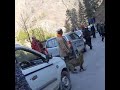 Leopard playing with humans in kullu  shorts tirthanvalley ghnp kullu