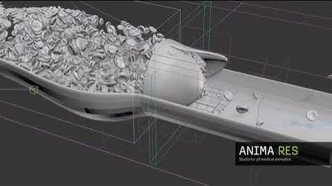 Pulsatile flow vedio