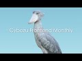 [04/26] Cybozu Frontend Monthly #22