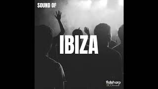 Shenga, Slaies - Without Your Love (Original Mix)