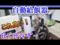 猫に自動給餌器を買ったレビュー　（犬猫　ベルソス　ペットフィーダー6L　VS-PF06W）