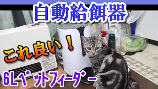 猫に自動給餌器を買ったレビュー　（犬猫　ベルソス　ペットフィーダー6L　VS-PF06W）