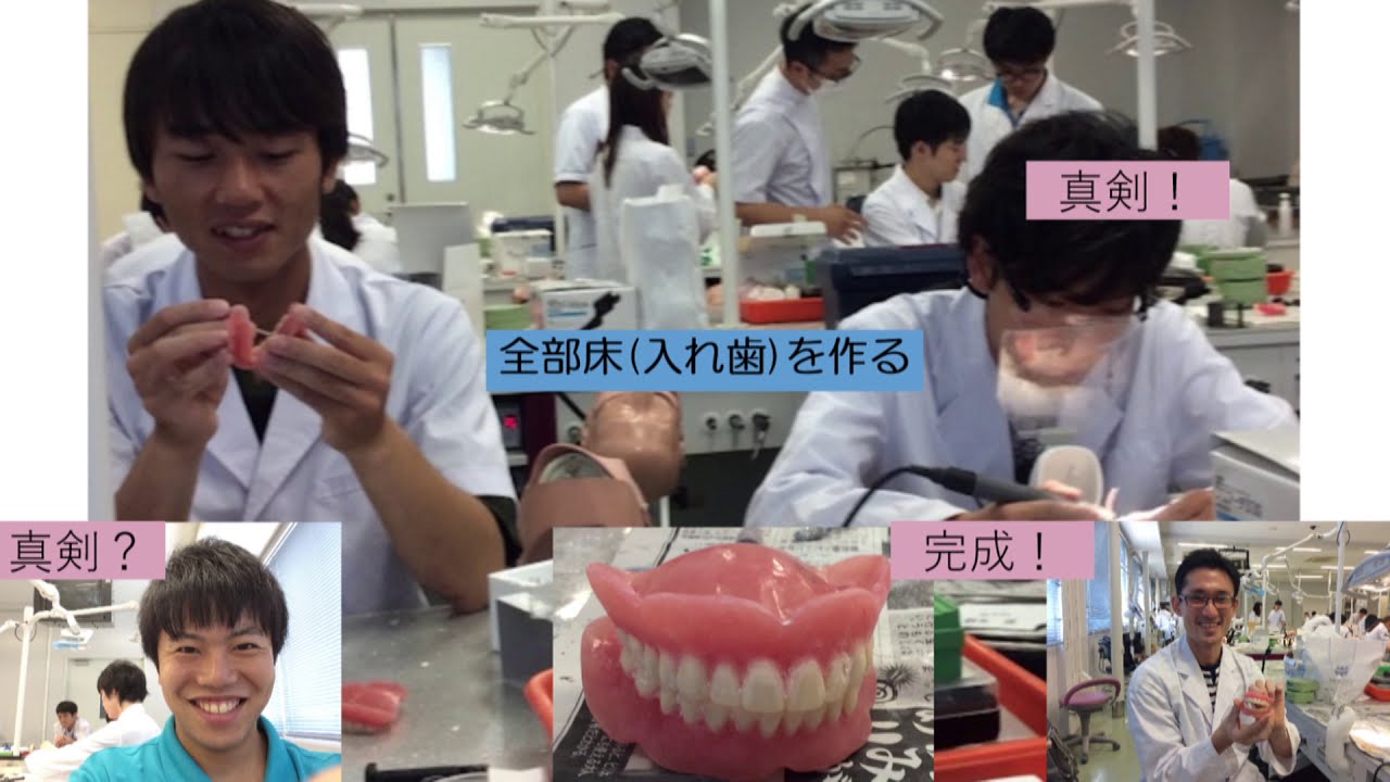 九州大学 歯学部 現役学生による大学生活紹介 Youtube 九州大学 歯学部 現役学生による大学生活紹介 Youtube