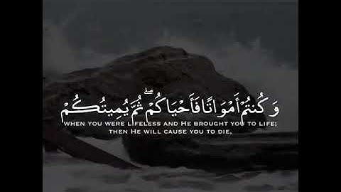 قرآن كريم بصوت القارئ ياسر الدوسري تلاوة خاشعة و مؤثر ارح قلبك 💚🌿حالة واتس إسلامية /استوري انستغرام