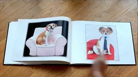 Dee Is For Dogs - Hardcover 11x14 Book