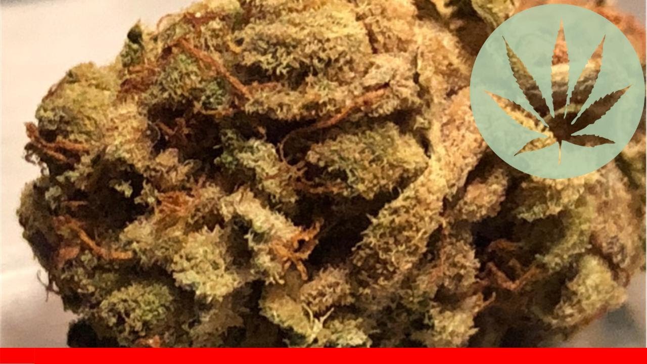 Captain'S Cake - All About This Strain
