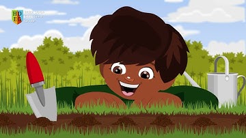 The Seed Cycle | Science Songs for Children Learning English | Helen Doron Song Club