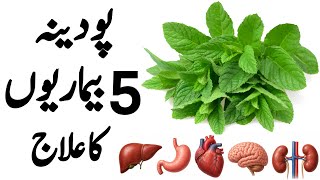 Pudina 5 bari Bimarion ka ilaj | Pudina ke Fayde.. benefits of eating mint leaves