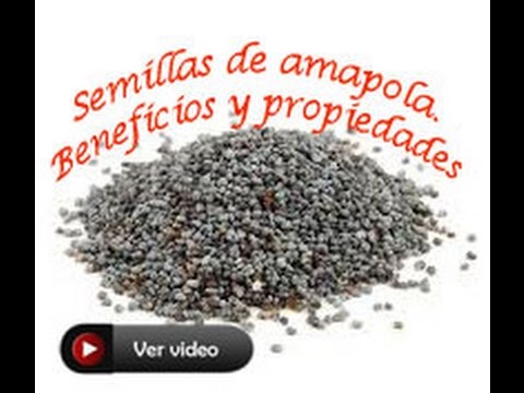 Vídeo: Bagel Con Semillas De Amapola: Contenido Calórico, Propiedades útiles, Valor Nutricional, Vitaminas