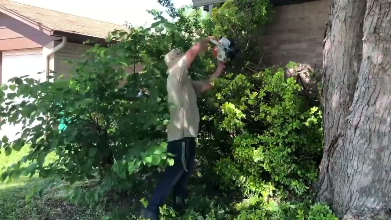 Neighbors were happy to see this eyesore finally getting mowed