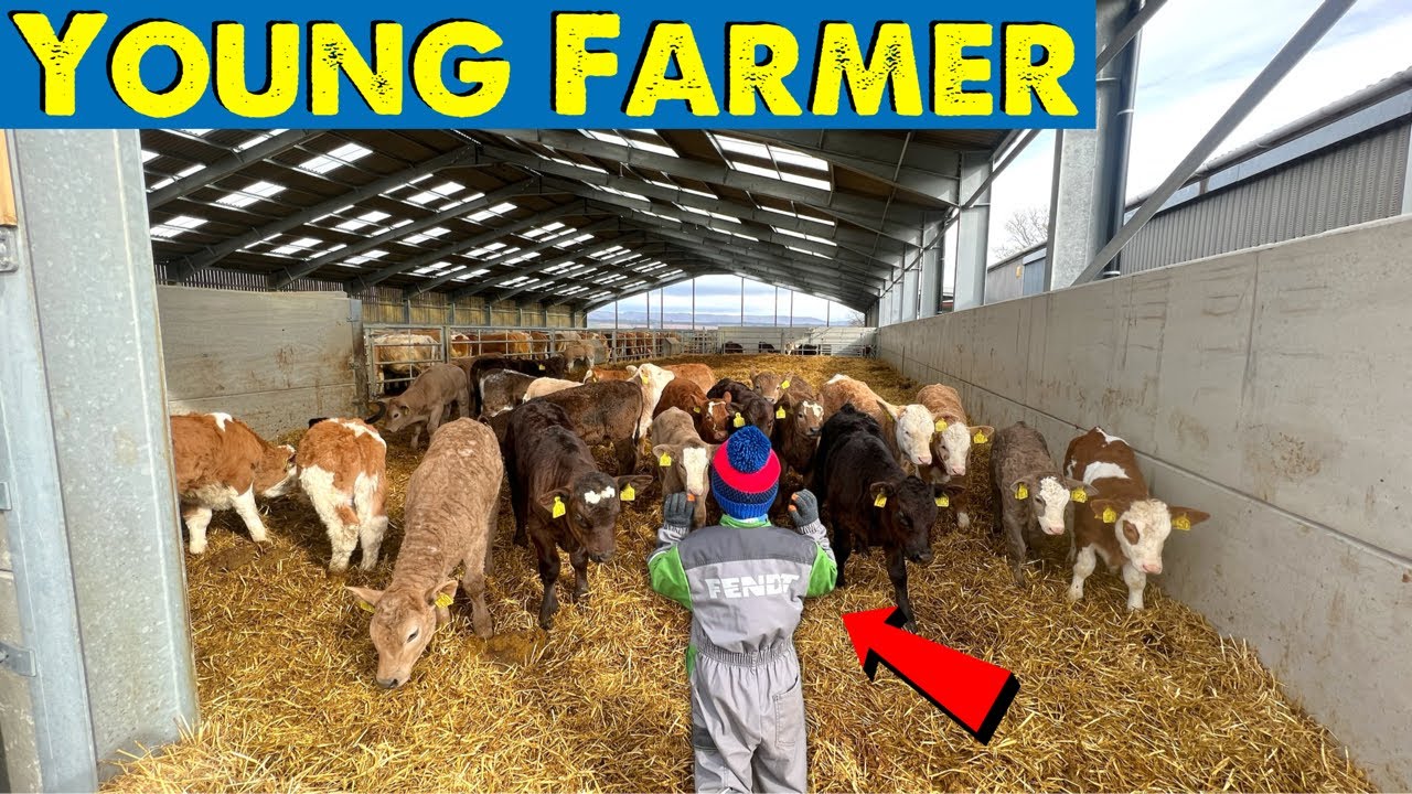 Проблемы с трактором | Молодой фермер | Наводнения утихли