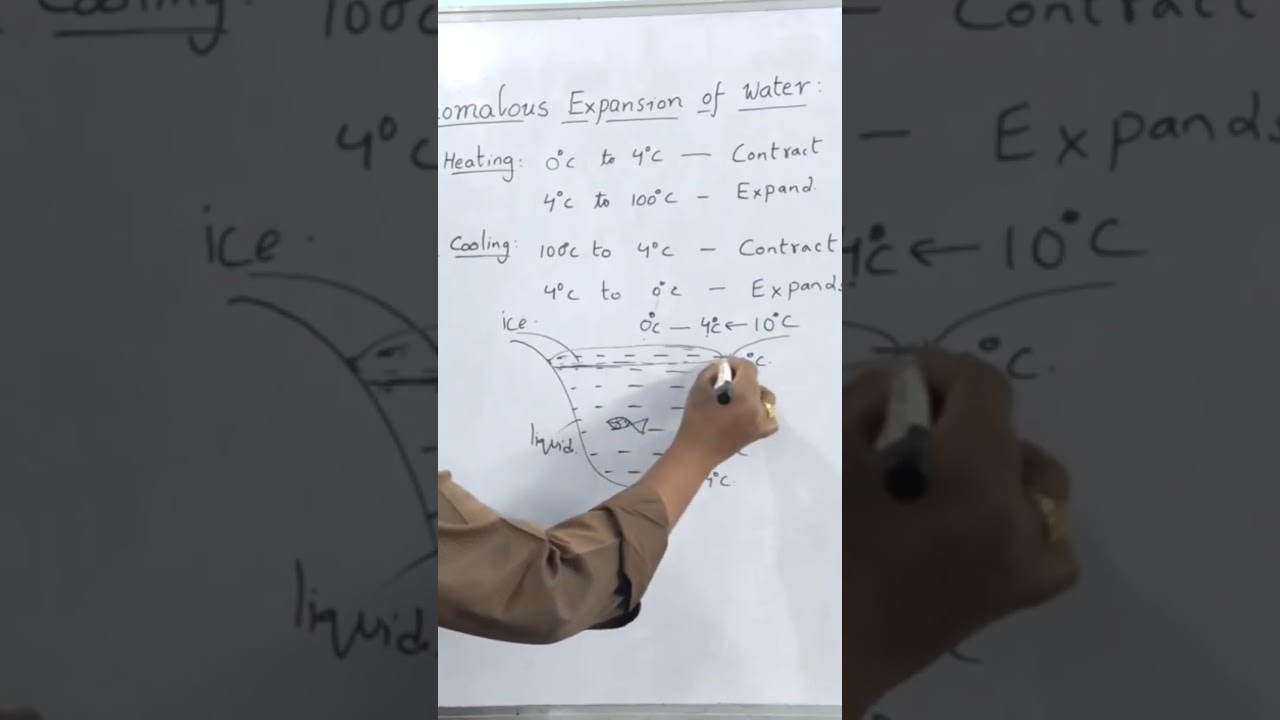 anomalous expansion of water