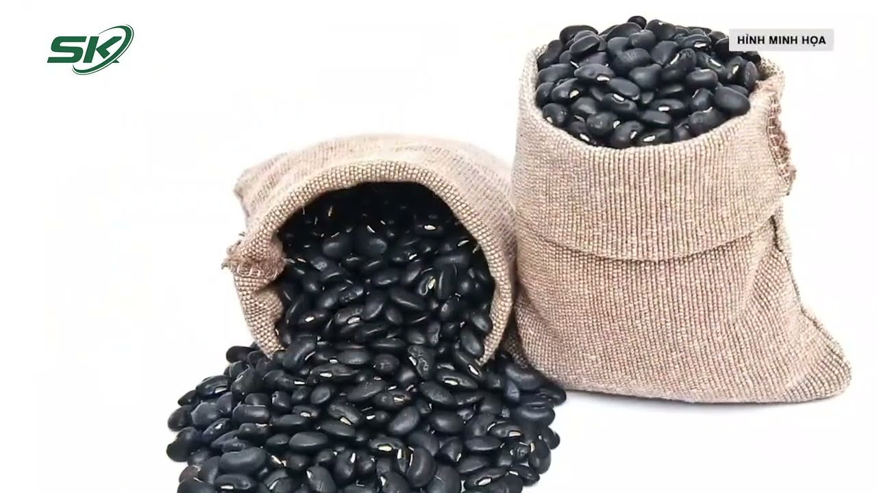 Tác Dụng Của Gạo Lứt và Đỗ Đen Rang - Giải Pháp Mới cho Sức Khỏe Toàn Diện