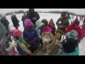 1st Girl Scouts Outing With The Door County Sled Dogs 1st Girl Scouts Outing With The Door County Sled Dogs