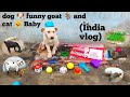 Dog funny goat and cat baby violation97sss youtube channel india vlog funny viral india