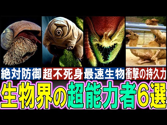 Viewer Discretion Advised] 6 Creatures with Insane Abilities