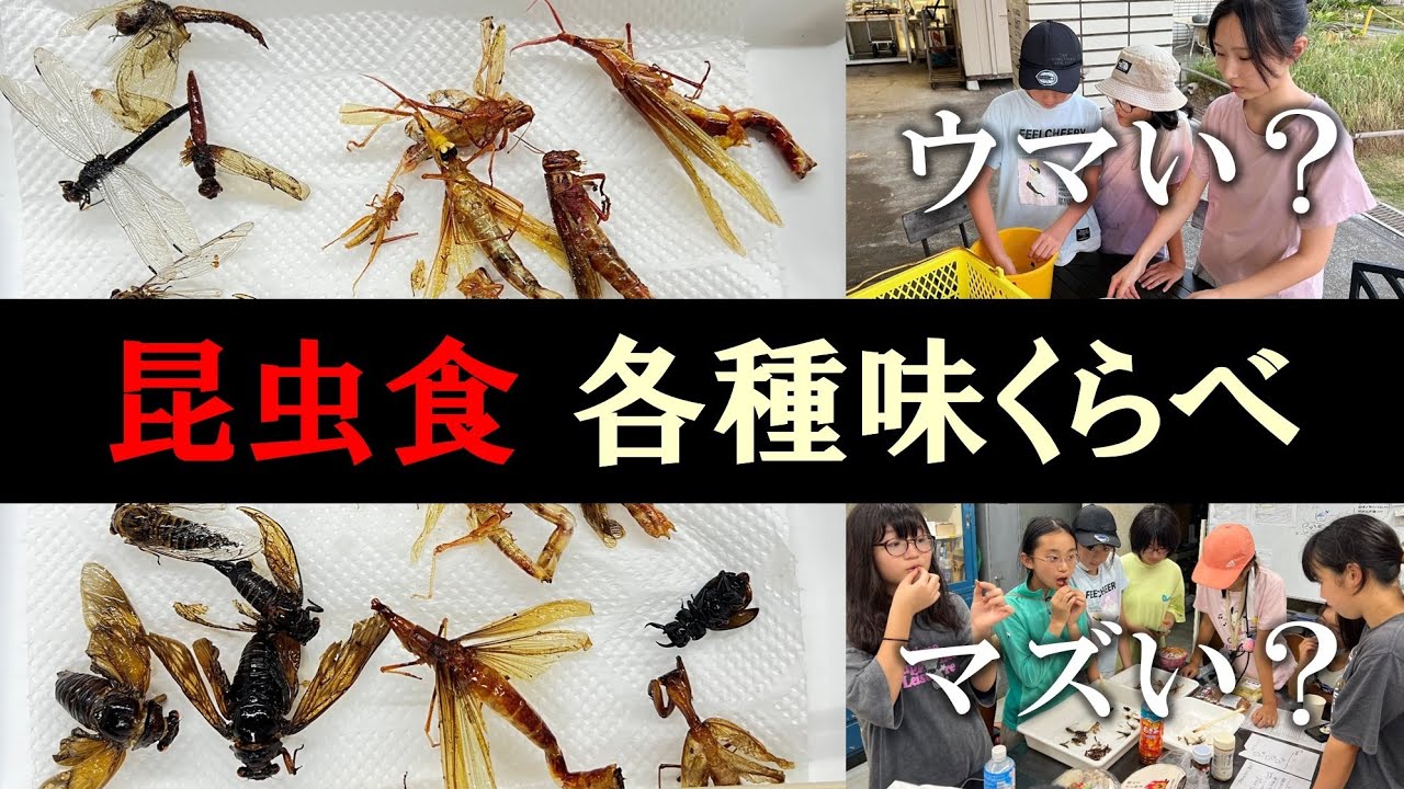昆虫を食う女子たち！昆虫各種の味くらべをしてみた