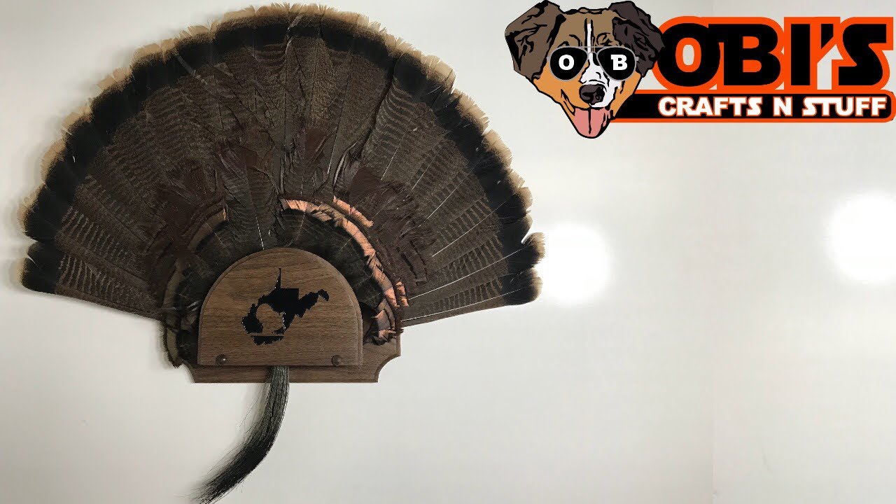DIY Turkey Fan & Beard Mount Kit 