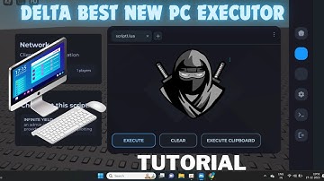 Roblox PC Delta Executor Review & Tutorial | No Lag/Crash