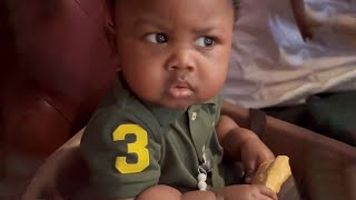 Funniest Baby Videos of the Week  Try Not To Laugh
