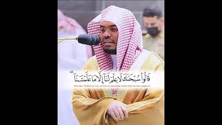 الشيخ ياسر الدوسري قالوا سبحانك لا علم لنا إلا ما علمتنا إنك أنت العليم الحكيم