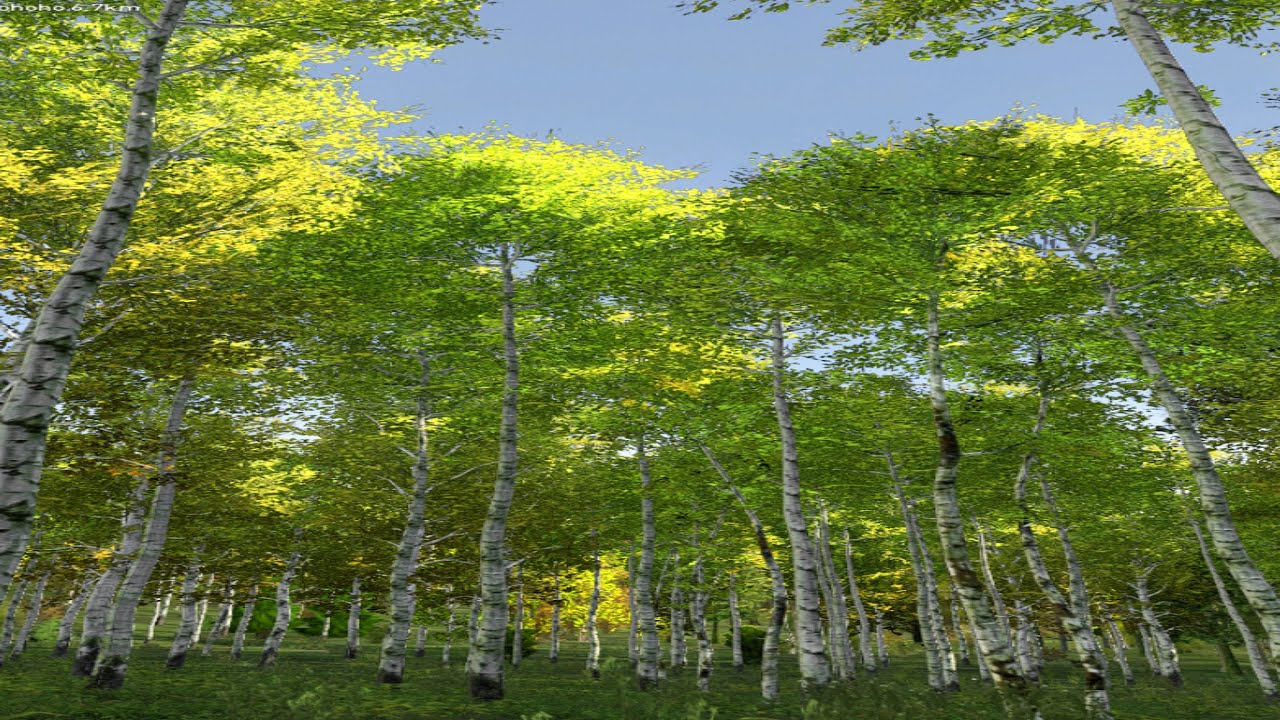 𐌁𐌀𐌂𐌊 𐌉𐌍 𐌕𐋅𐌄 Ᏽ𐌀𐌌𐌄 