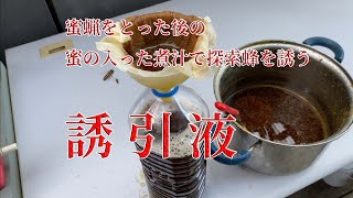 【 ニホンミツバチ 】誘引液　日本ミツバチ 蜜蝋をとった後、蜜の入った煮汁で探索蜂を誘う