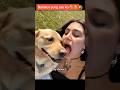 Goodbye 😱😱 🤣 #funny #lifeisbutadream #viral #fypシ゚viral #explore