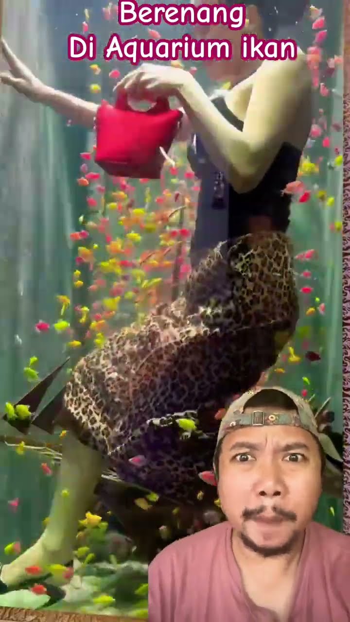 BERENANG BERSAMA IKAN WARNA WARNI!!!? #shortsfeed #shorts #funny #aquarium