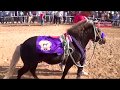 Gran Carrera de Ponys duelo de titanes tienes que verla 25 de febrero 2018