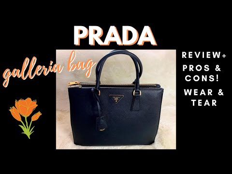 Sydney's Fashion Diary: Review: Prada Cuir Medium Double Bag in Marmo