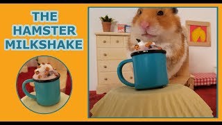 THE HAMSTER MILKSHAKE!