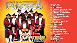 Banda Machos Y Otras Banda : Arkangel R15, El Recodo, Maguey, Toro, Movil, Brava... Mix Banda 2023