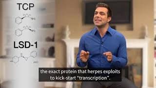 Can herpes be cured? | Why There Is No Cure For Herpes? 2019