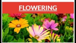 Famous Growing With Canvas 4 5 Speed Grader Wealth