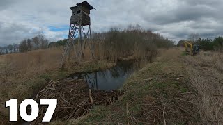 Beaver Dam Near Hunting Pulpit  Beaver Dam Removal With Excavator No.107