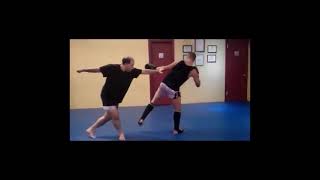 Kung Fu Unicorn Stance Combat Application