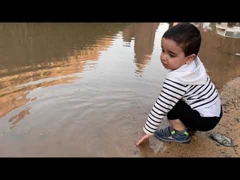 وادي الديسة منطقة تبوك