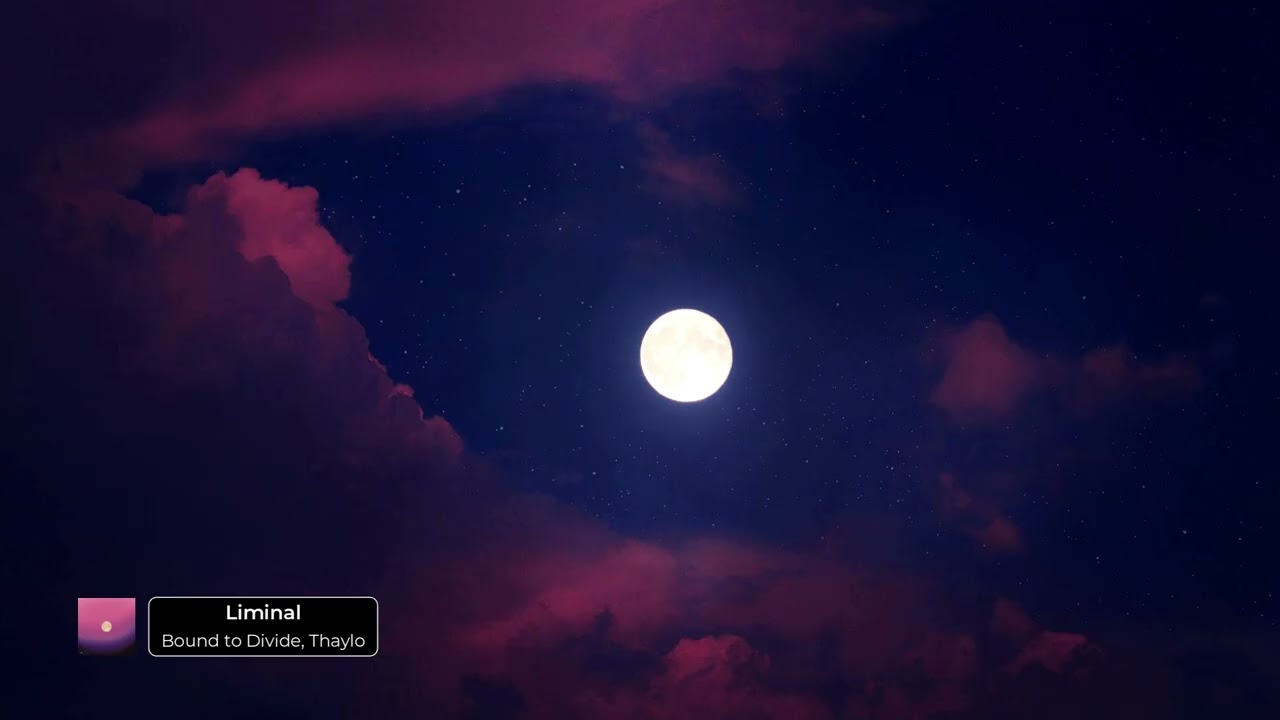 Ver Bound to Divide, Thaylo - Liminal no YouTube Ver Bound to Divide, Thaylo - Liminal no YouTube