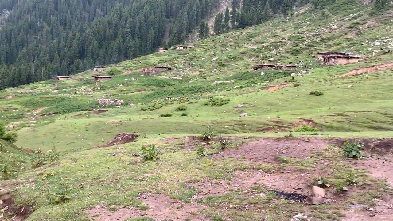 Jarogo banda mata swat🇵🇰