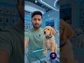 😱 Future Me Pets Bhi AI Ho Gaye #viral #story #pets