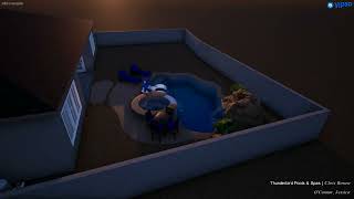 O'Connor Pool/Grotto Design- Thunderbird Pools and Spas