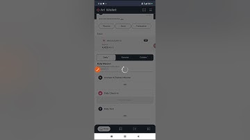 What is the main purpose of layer 2 solution in ari wallet - Arichain quiz today