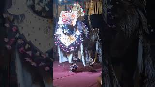 Napak Pertiwi Ida Betara Ratu Lingsir Banjar Laplapan Ubud