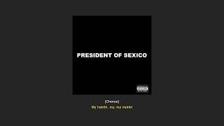 STEIN27 – PRESIDENT OF SEXICO (Album) [Text]